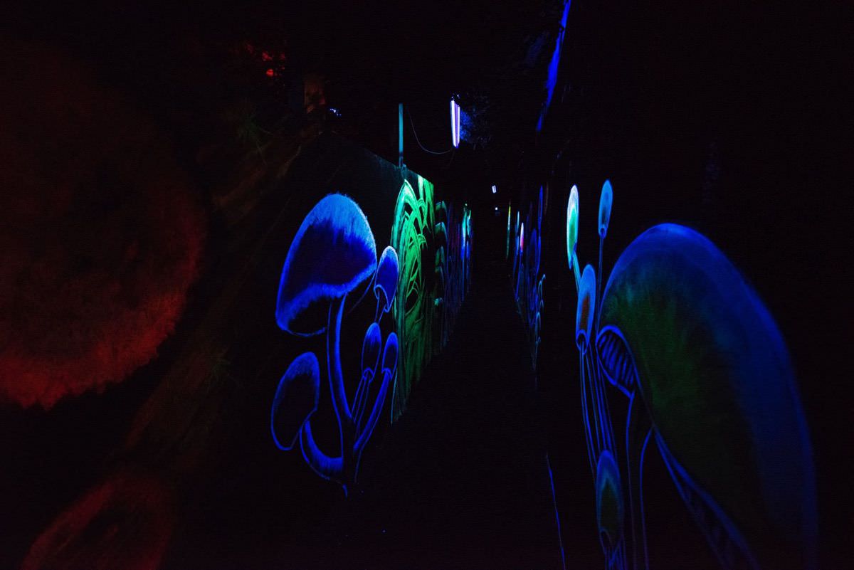 Quantum Lasertag Speyer Neon Objects painting